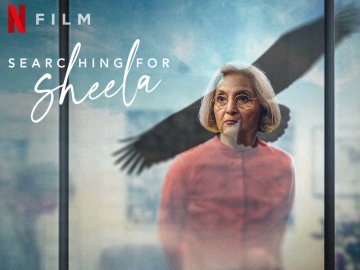 Searching For Sheela