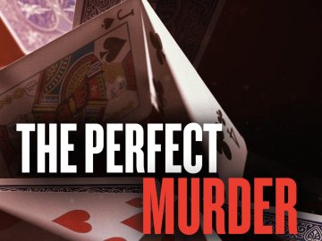 The Perfect Murder